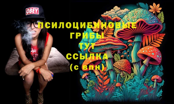 шишки Ладушкин