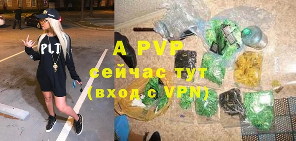 шишки Ладушкин