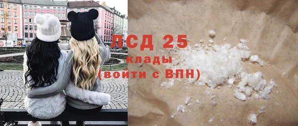 шишки Ладушкин