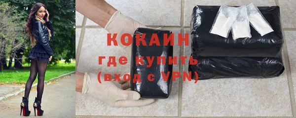 шишки Ладушкин